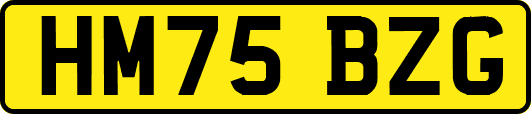 HM75BZG