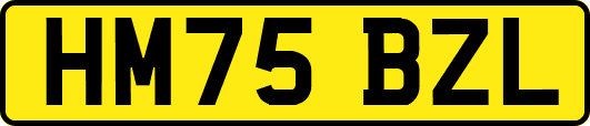 HM75BZL