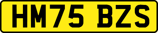 HM75BZS