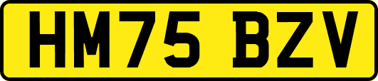 HM75BZV