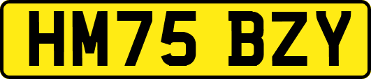 HM75BZY