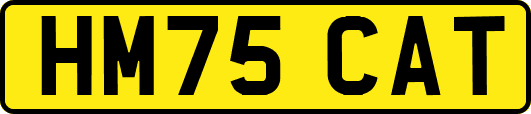 HM75CAT