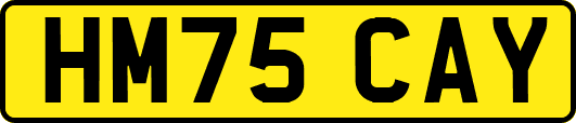 HM75CAY