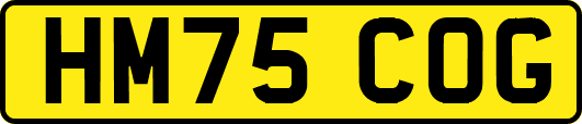 HM75COG