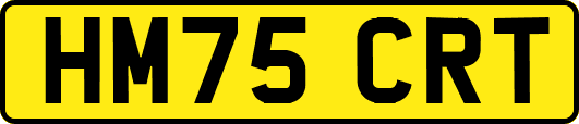 HM75CRT