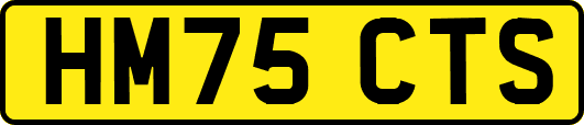 HM75CTS