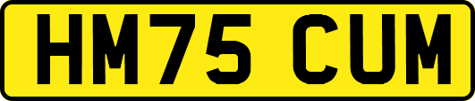 HM75CUM