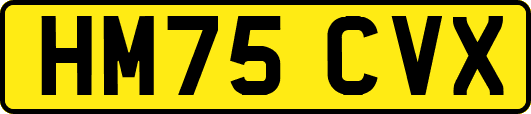 HM75CVX