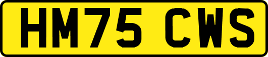 HM75CWS