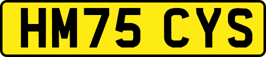 HM75CYS