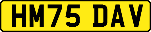 HM75DAV