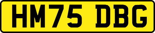 HM75DBG