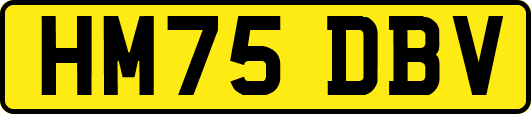 HM75DBV