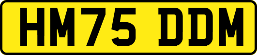 HM75DDM