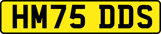HM75DDS