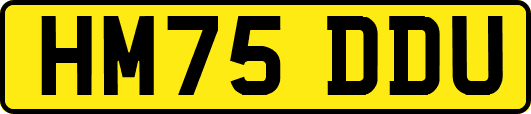 HM75DDU
