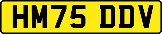 HM75DDV