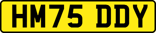 HM75DDY