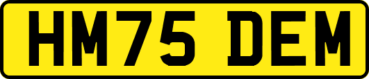 HM75DEM