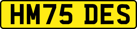 HM75DES