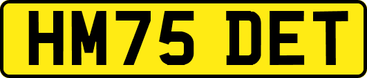 HM75DET