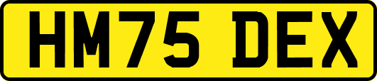 HM75DEX