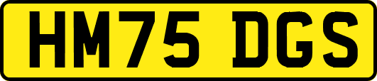 HM75DGS