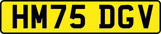 HM75DGV