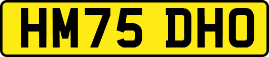 HM75DHO