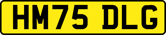 HM75DLG