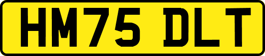 HM75DLT