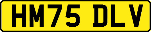 HM75DLV