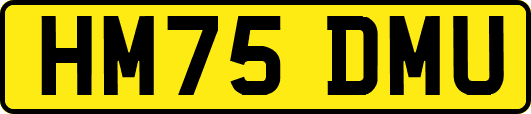HM75DMU