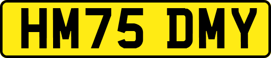 HM75DMY