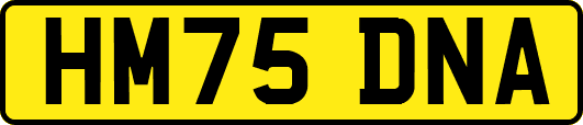 HM75DNA