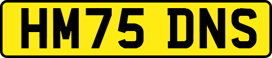 HM75DNS