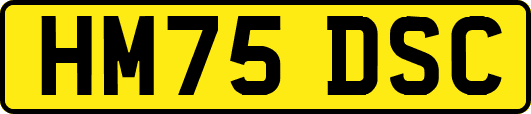 HM75DSC