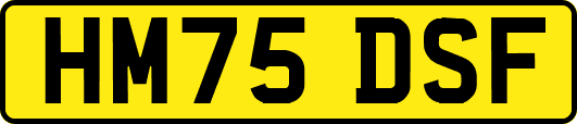 HM75DSF