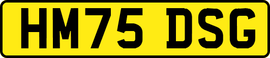 HM75DSG