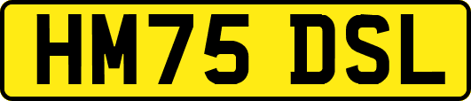 HM75DSL