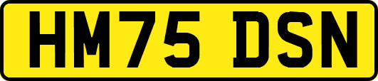 HM75DSN