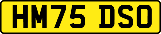 HM75DSO