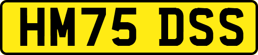 HM75DSS