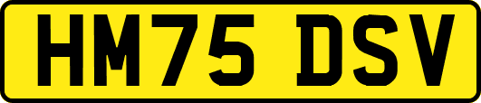 HM75DSV