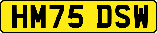 HM75DSW