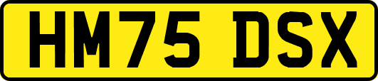 HM75DSX