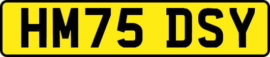 HM75DSY