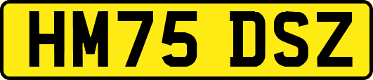 HM75DSZ