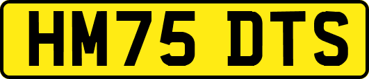 HM75DTS