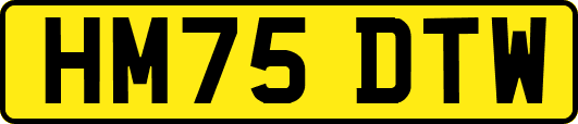 HM75DTW